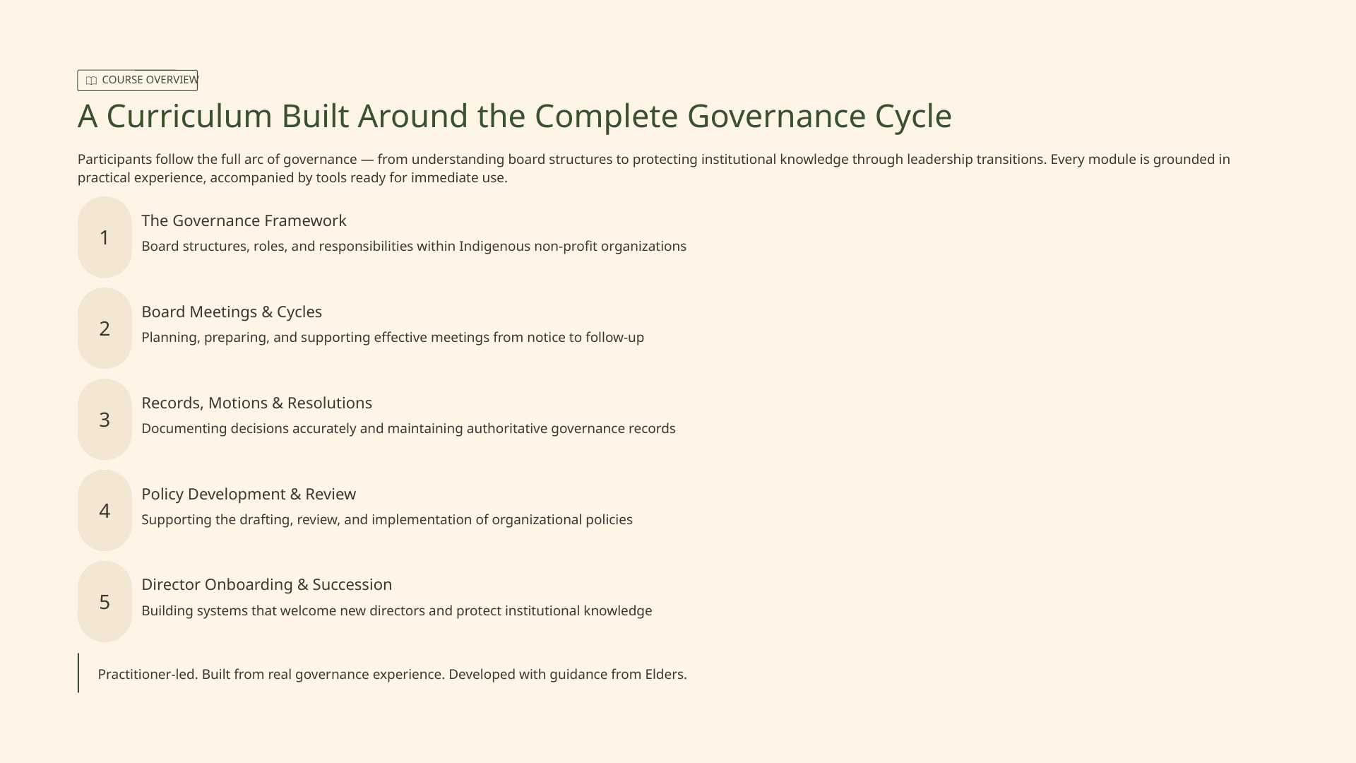 Course overview: a curriculum built around the complete governance cycle.