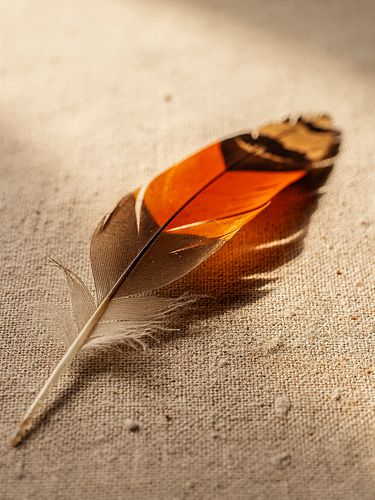 A single eagle feather resting on natural linen in soft directional light